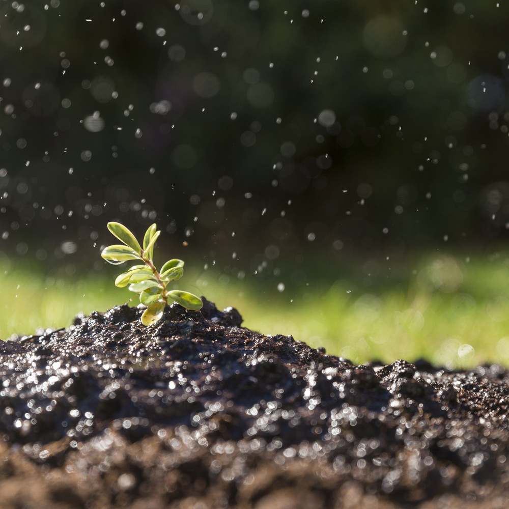 輸入肥料‗特殊肥料