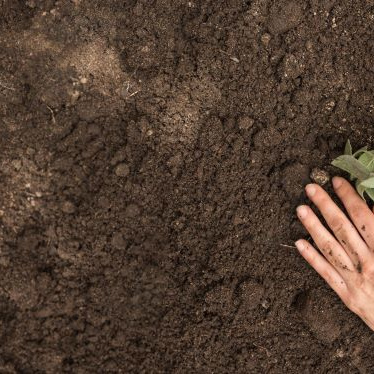 企業情報‗みのり