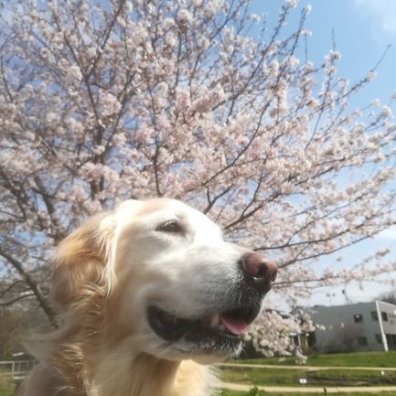 代表あいさつ_みのり